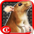 Sewer Rat Run! 3D