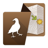 Petrified Forest NP by Chimani