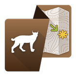 Redwood Nat'l Park by Chimani