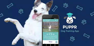 Puppr - Dog Training & Tricks