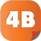 4B Chinese icon