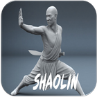 Shaolin icône