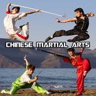 Chinese Martial Arts icône