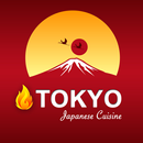 Tokyo Fire - Damascus APK