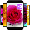 ”Live Wallpaper Of Roses - Wallpaper Video