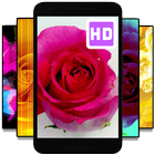 Live Wallpaper Of Roses - Wallpaper Video icon