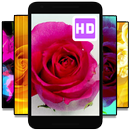 milieux animés de roses - Fond d'écran vidéo APK