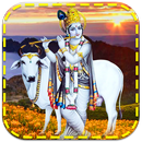 Lord Krishna Live Wallpaper APK