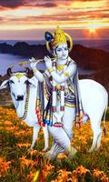 Lord Krishna Live Wallpaper 截圖 3