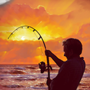 Fishing Season 3: World Tour-APK