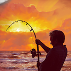 Fishing Season 3: World Tour-icoon
