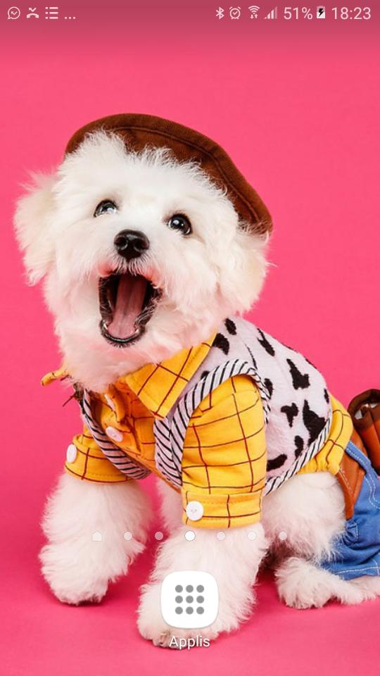Prettiest Puppy Wallpaper HD720 - Animated Puppies APK for Android Download Prettiest Puppy Wallpaper HD720 - Animated Puppies APK for Android Download