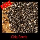 Chia Seeds ícone