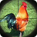 Chicken Shooting 3D Attack Sniper Shooter APK