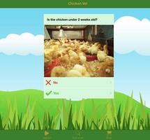 Chicken Vet (Tablet Version) スクリーンショット 1