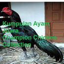 Good chicken fighter. APK
