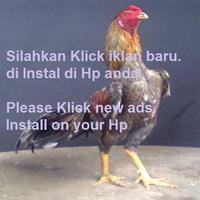 chicken fighter. plakat