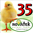 Chick 35 biểu tượng