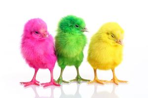 Chicks Wallpapers penulis hantaran