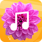 آیکون‌ Floral Launcher