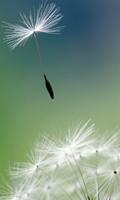 Animated Dandelion 截图 2