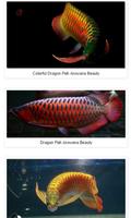 Dragon Fish Arowana Beauty ảnh chụp màn hình 1