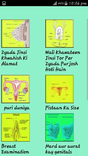 Virgin Urdu Tips For Android Apk Download