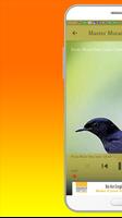 برنامه‌نما Kicau Burung Murai Batu عکس از صفحه
