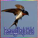 Pemanggil Raja Walet APK
