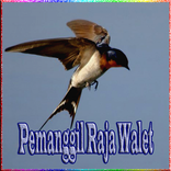 Pemanggil Raja Walet