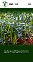 Chilli Cultivation poster