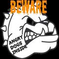 Angry Dogs