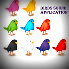 Birds Chirping أيقونة