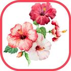 Flower Wallpapers أيقونة