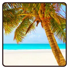 Beach Wallpaper APK download