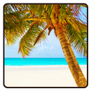 Beach Wallpaper APK