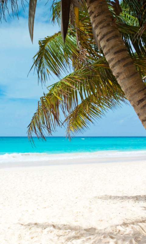 Beach Wallpaper APK for Android – Download Beach Wallpaper APK Latest Version from Beach Wallpaper APK for Android – Download Beach Wallpaper APK Latest Version from