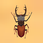 insect Crusher icon