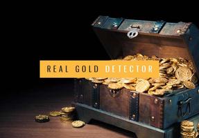 Real GOLD FINDER : Gold detector 海报