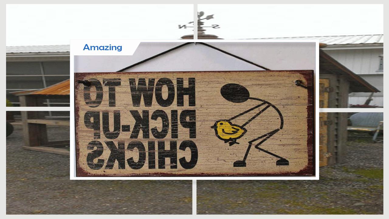 Android Için Creative Chicken Coop Decorations Apkyı Indir