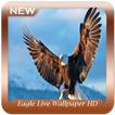 Eagle Live Wallpaper HD