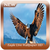 Eagle Live Wallpaper HD icône