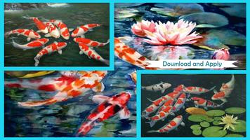 Koi Fish Live Wallpaper capture d'écran 1