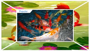 Koi Fish Live Wallpaper capture d'écran 2