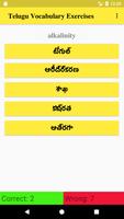 Telugu Vocabulary Exercise poster