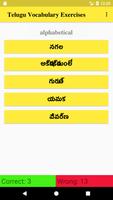 Telugu Vocabulary Exercise screenshot 1