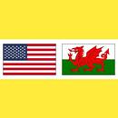 Welsh Vocabulary Exercise APK