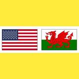 Welsh Vocabulary Exercise icon