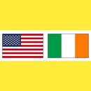 Irish Vocabulary Exercise APK