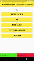 Luxembourgish Vocabulary poster